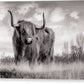 Scottish Highland Cow Sign - Canvas Print