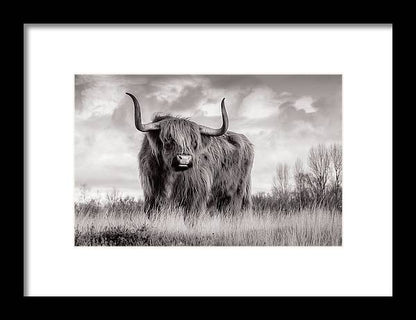 Scottish Highland Cow Sign - Framed Print