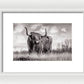 Scottish Highland Cow Sign - Framed Print