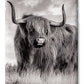 Scottish Highland Cow Sign - Phone Case