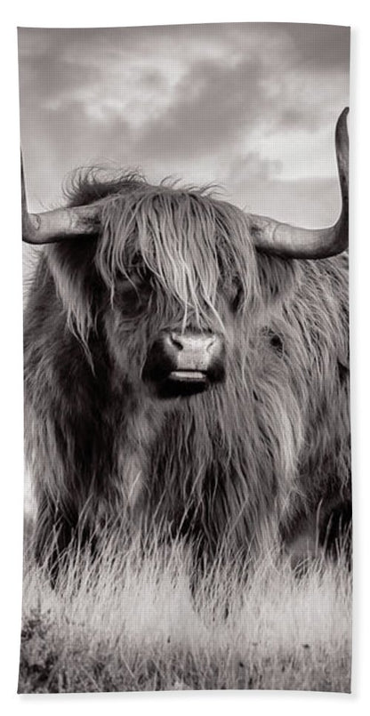 Scottish Highland Cow - Beach Towel