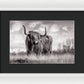 Scottish Highland Cow Sign - Framed Print