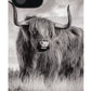 Scottish Highland Cow Sign - Phone Case