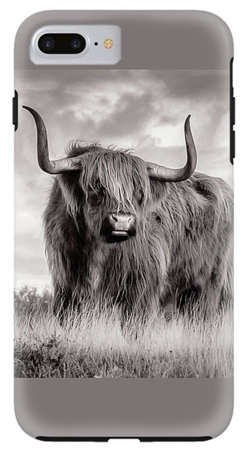 Scottish Highland Cow Sign - Phone Case