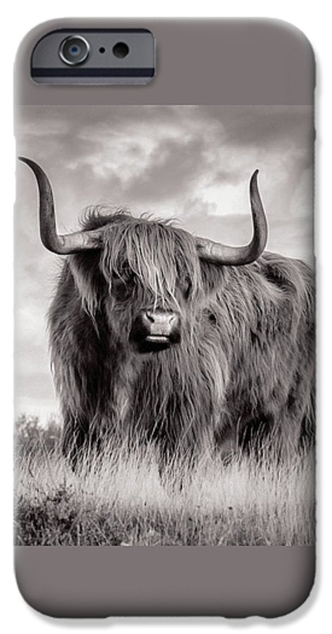 Scottish Highland Cow Sign - Phone Case