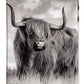 Scottish Highland Cow Sign - Phone Case