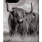 Scottish Highland Cow Sign - Phone Case