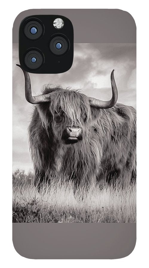 Scottish Highland Cow Sign - Phone Case