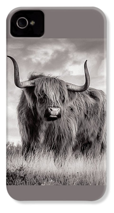 Scottish Highland Cow Sign - Phone Case