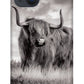 Scottish Highland Cow Sign - Phone Case