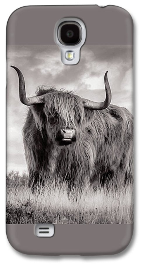 Scottish Highland Cow Sign - Phone Case