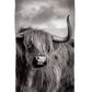 Scottish Highland Cow - Duvet Cover