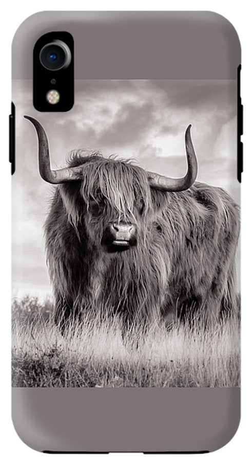 Scottish Highland Cow Sign - Phone Case