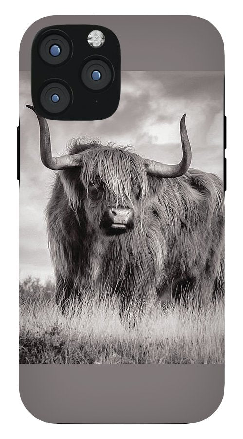 Scottish Highland Cow Sign - Phone Case