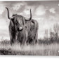 Scottish Highland Cow Sign - Acrylic Print