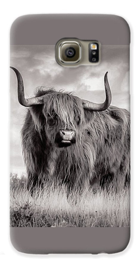 Scottish Highland Cow Sign - Phone Case