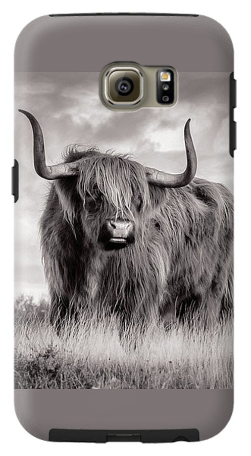 Scottish Highland Cow Sign - Phone Case