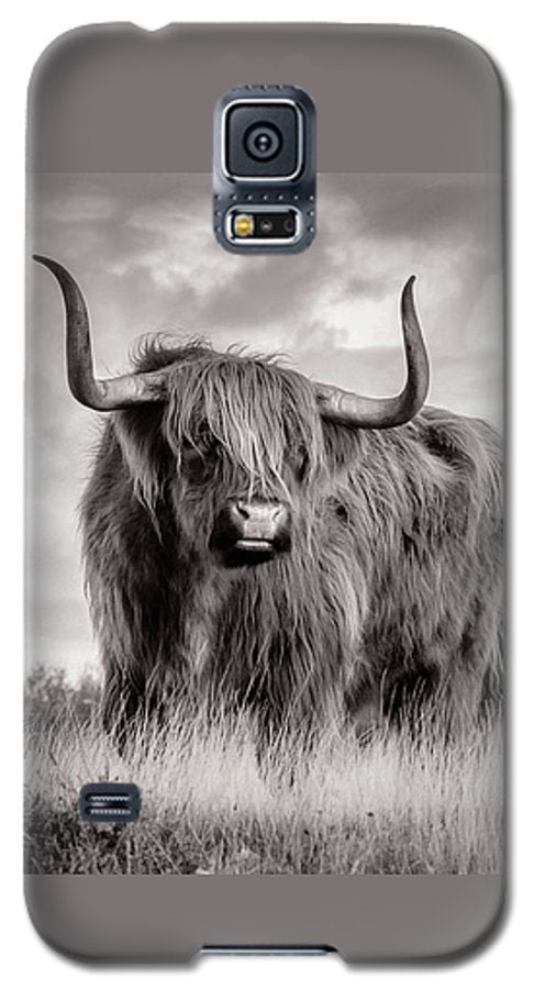 Scottish Highland Cow Sign - Phone Case