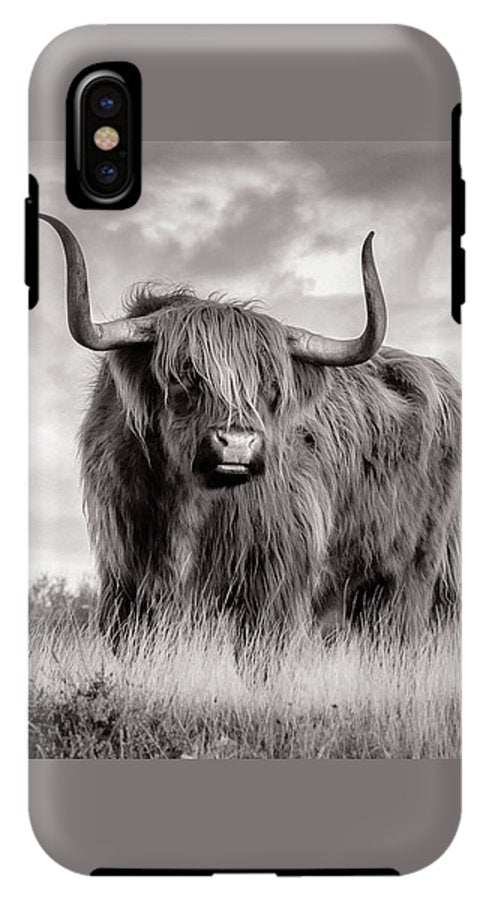 Scottish Highland Cow Sign - Phone Case