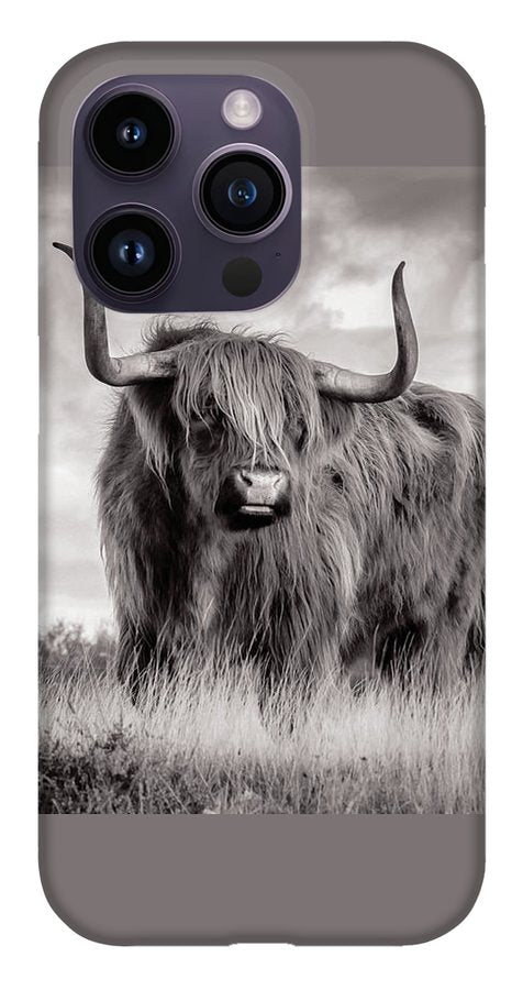 Scottish Highland Cow Sign - Phone Case