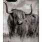 Scottish Highland Cow Sign - Phone Case