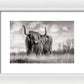 Scottish Highland Cow Sign - Framed Print