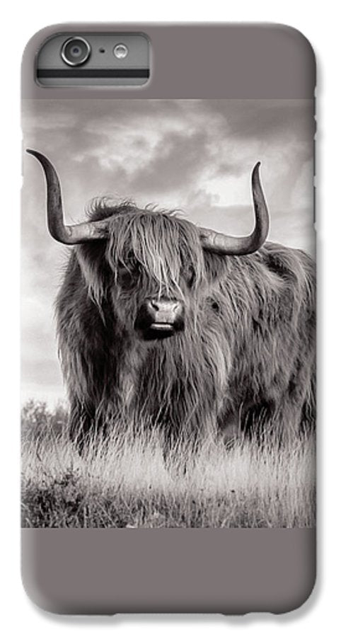 Scottish Highland Cow Sign - Phone Case