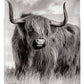 Scottish Highland Cow Sign - Phone Case