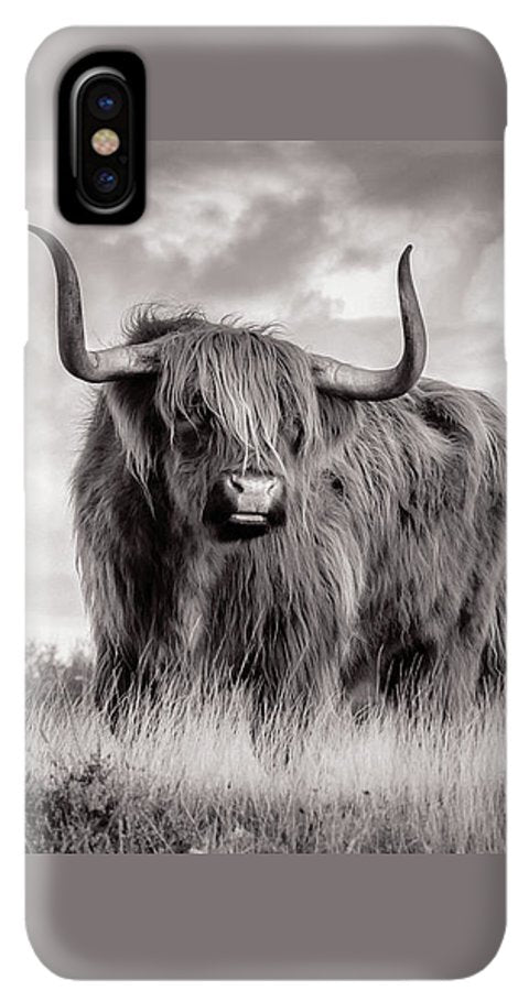 Scottish Highland Cow Sign - Phone Case