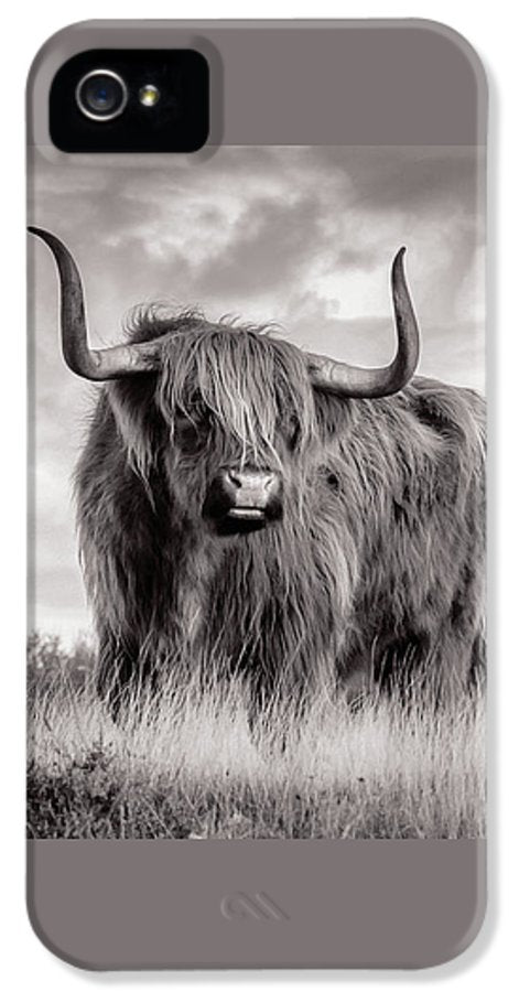 Scottish Highland Cow Sign - Phone Case